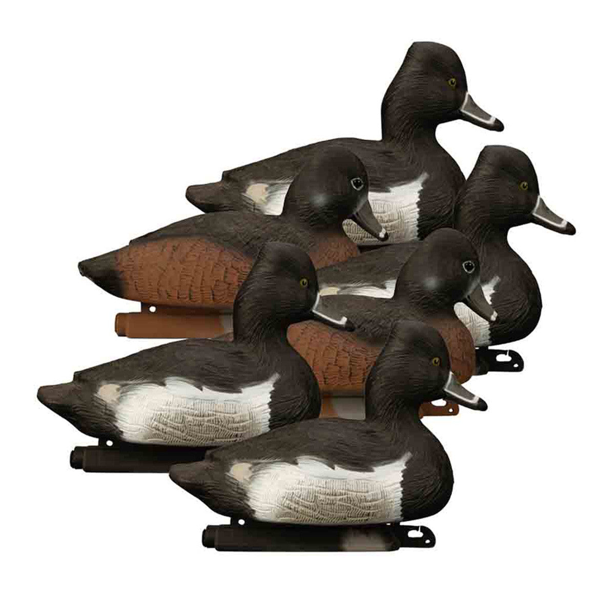 Higdon Standard Ringneck Foam Filled Floating Duck Decoys, 6 Pack Image