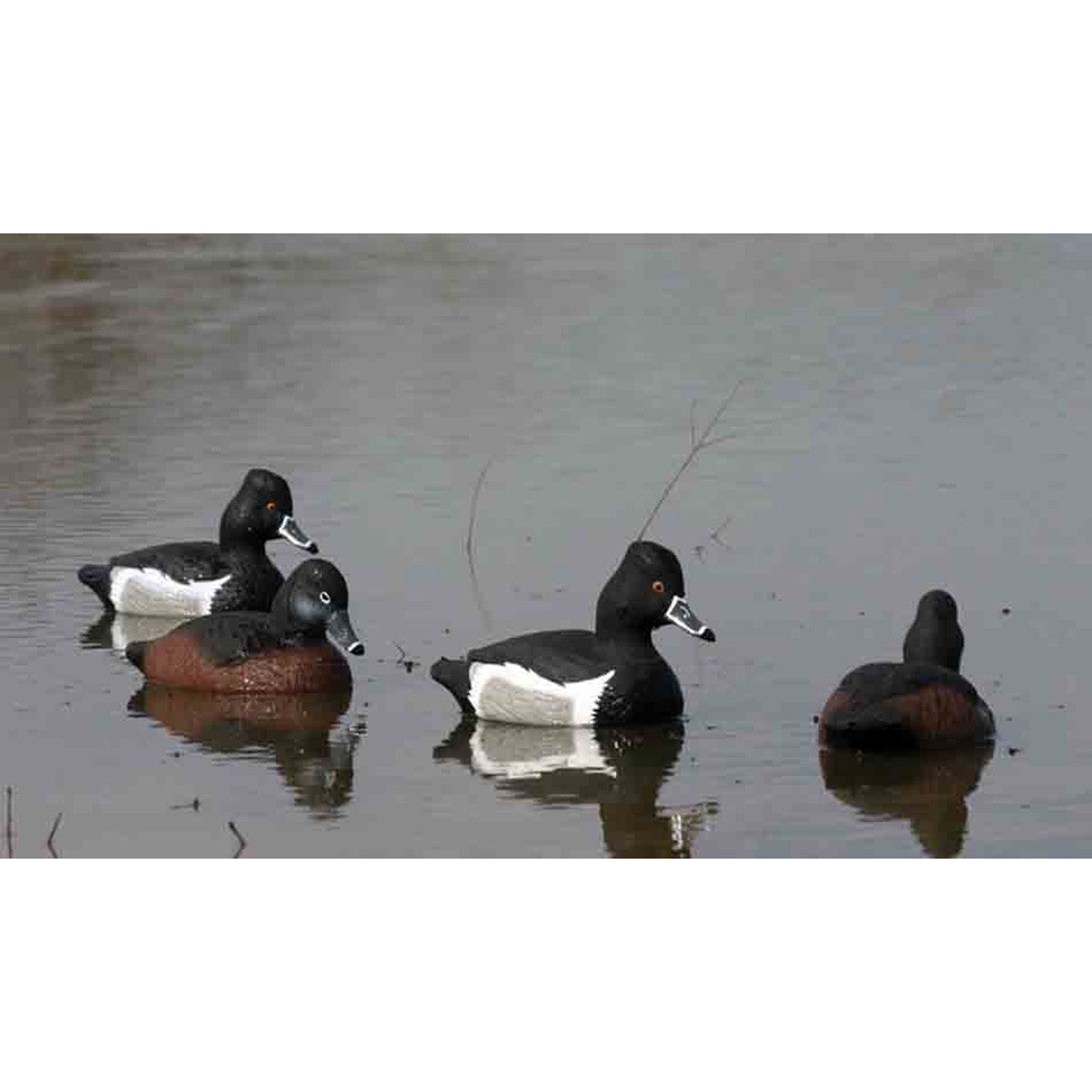 Higdon Standard Ringneck Foam Filled Floating Duck Decoys, 6 Pack Field Image