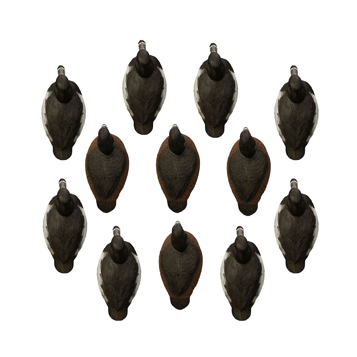 Higdon Standard Ringneck Foam-Filled Floating Duck Decoys Top Image