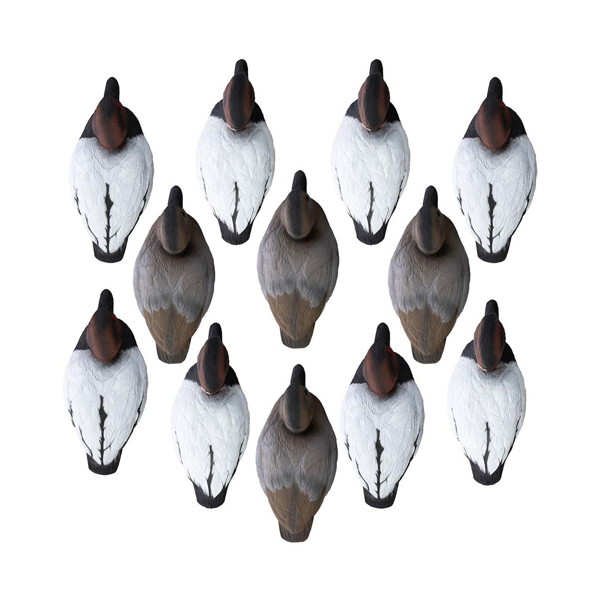 Higdon Standard Canvasback Foam-Filled Duck Decoys 12 Pack Top Image
