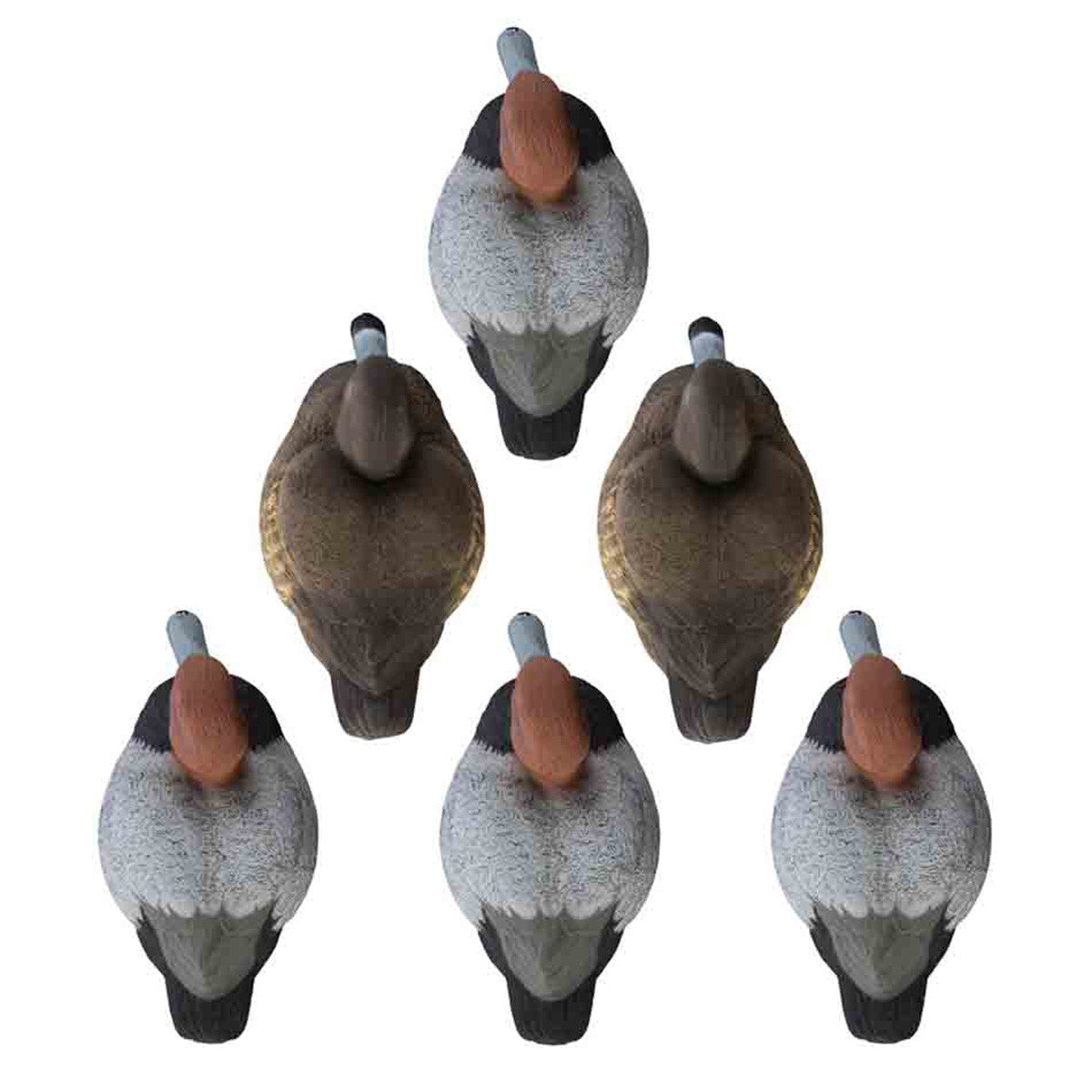 Standard Redhead Foam Filled Duck Decoys, 6 Pack