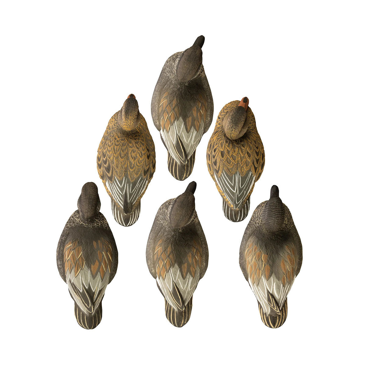 Higdon Standard Gadwall Foam Filled Duck Decoys 6 Pack Top Image