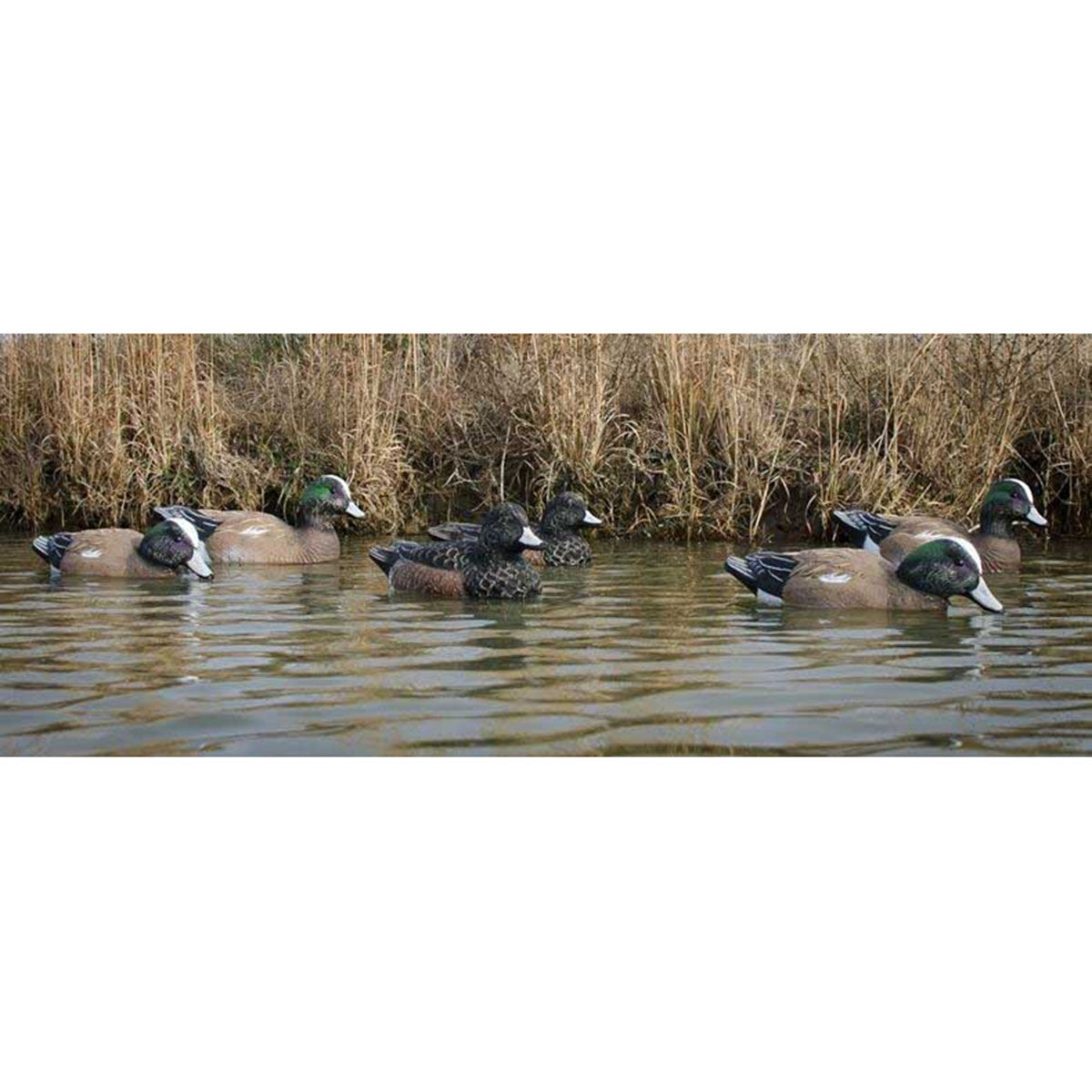 Higdon Standard Wigeon Foam Filled Duck Decoys, 6 Pack Lifestyle Image