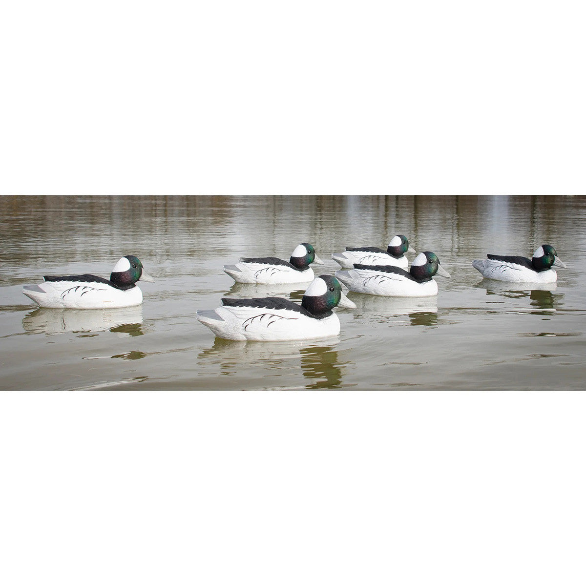 Standard Bufflehead Drake Foam-Filled Duck Decoys, 12 Pack