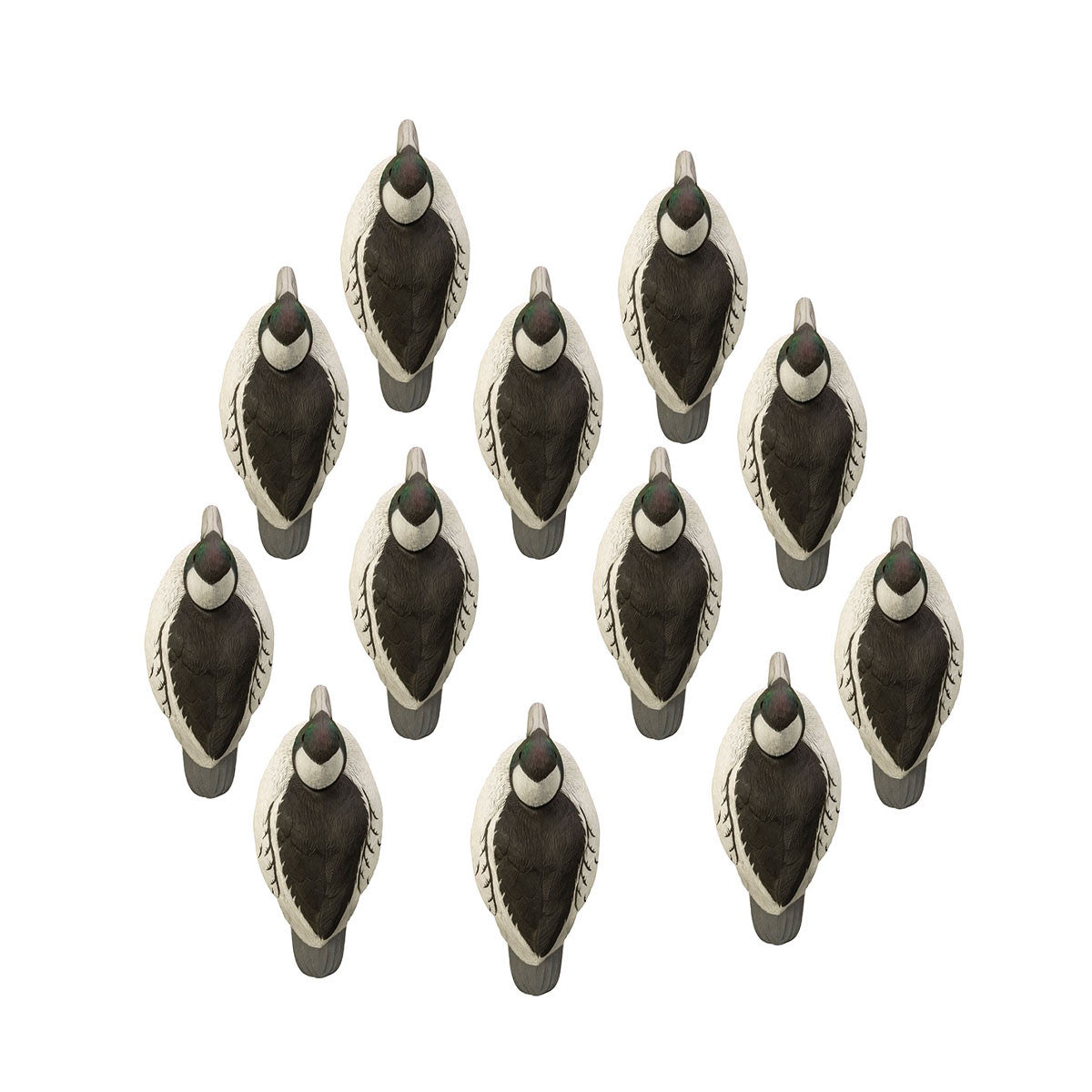Standard Bufflehead Drake Foam-Filled Duck Decoys, 12 Pack