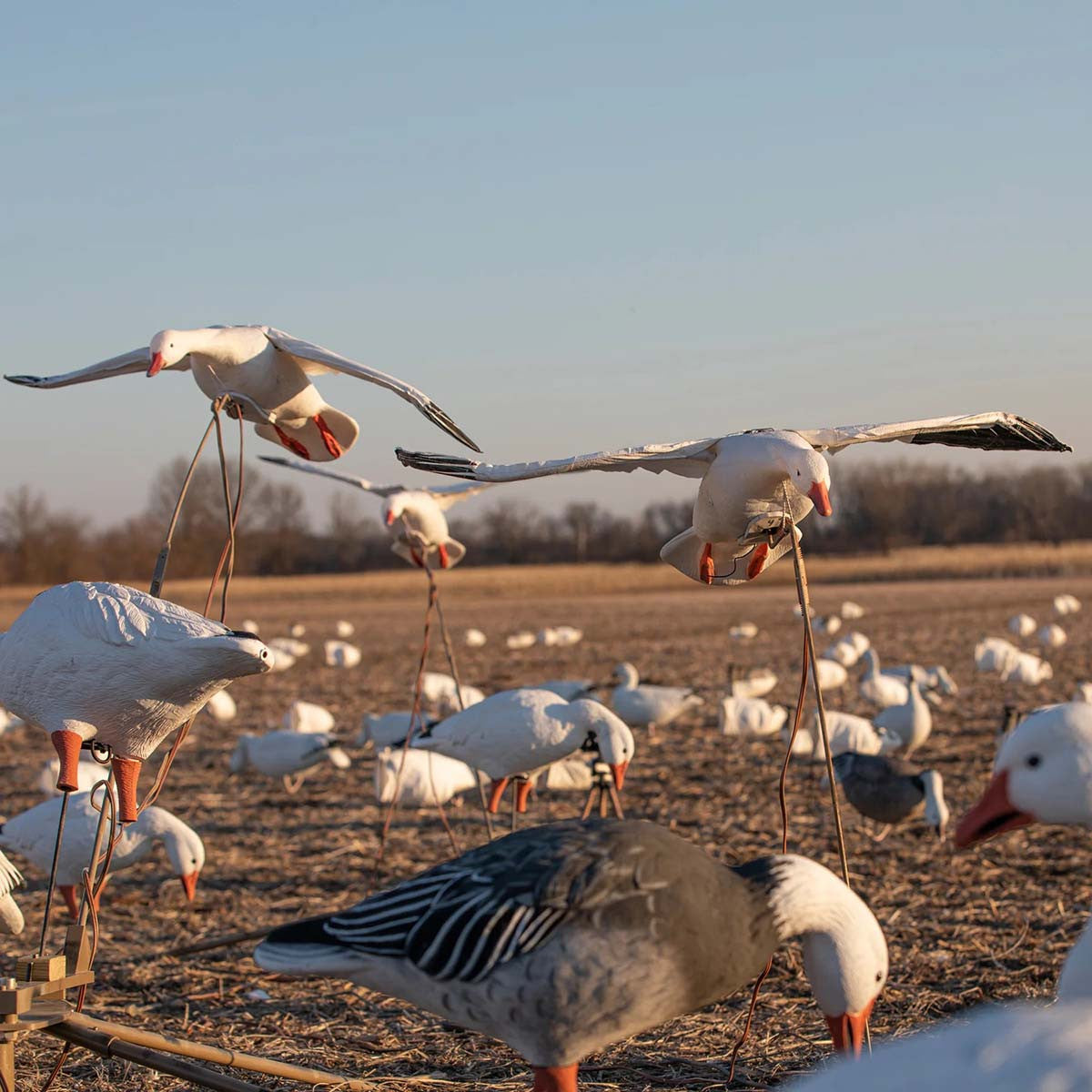 Higdon The Persuader Motorized Decoy Stand Image