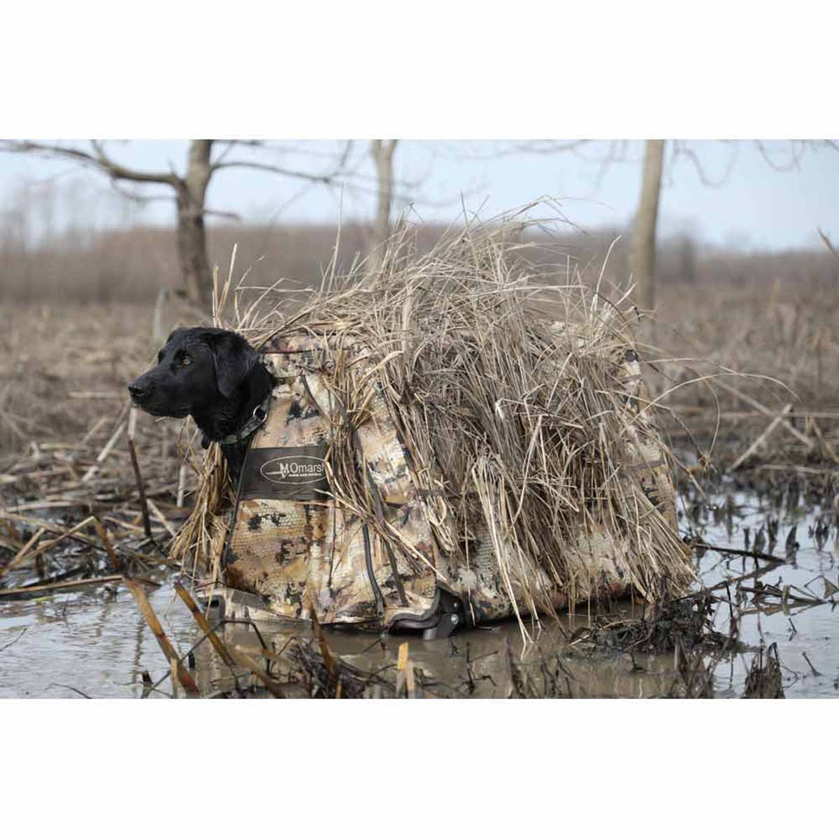 MOmarsh InvisiLab Dog Blind In-the-Field Image