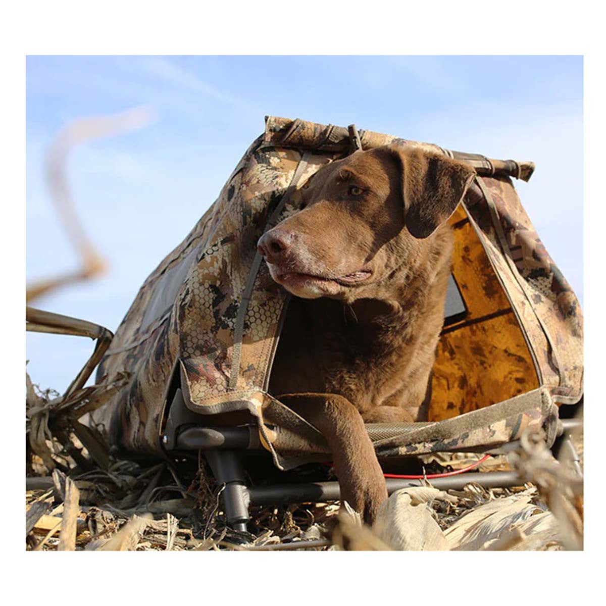 Field House Low Profile Dog Blind, Optifade