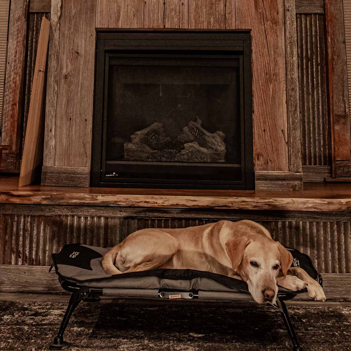 MOmarsh Home Cot Elevated Pet Bed Lifestyle Image