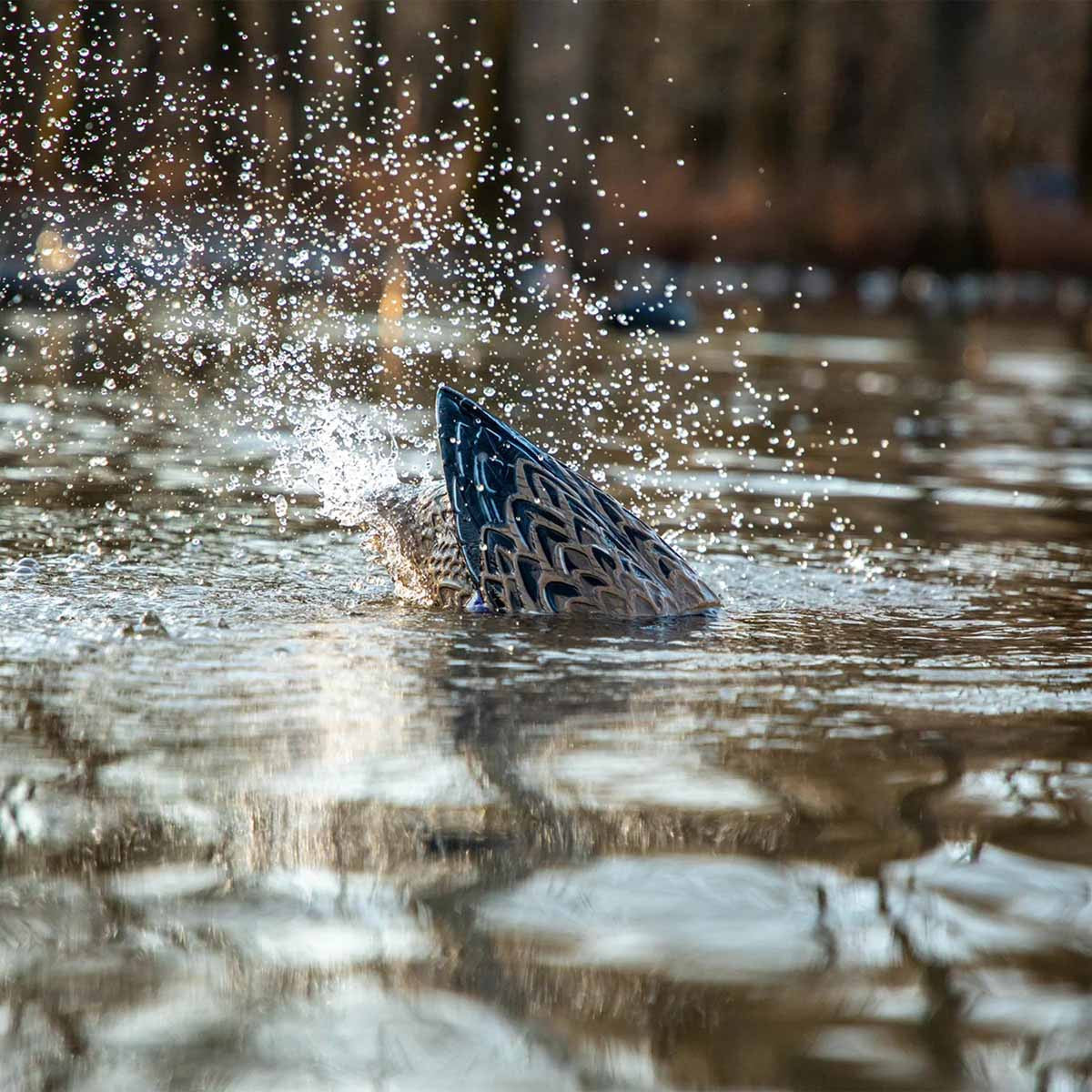 XS Pulsator Mallard Hen Duck Decoy
