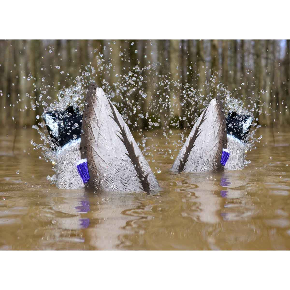 XS Pulsator Motion Combo Pack - Mallard Drake/Drake