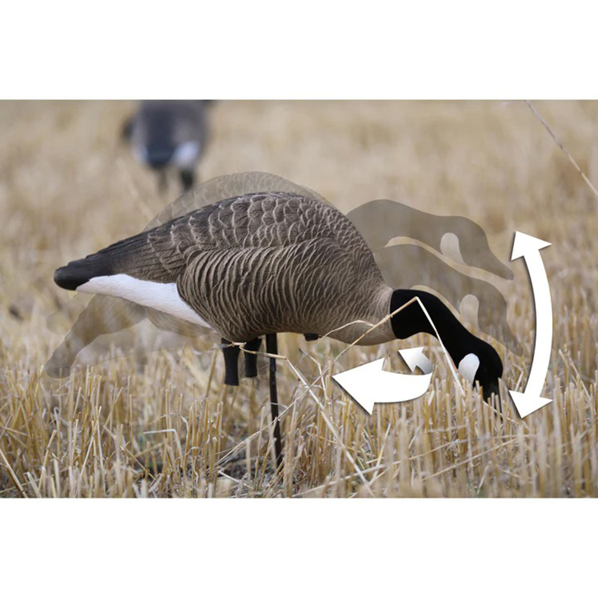 Higdon XS TruFeeder Motion Alpha Goose Decoy Field Motion Image