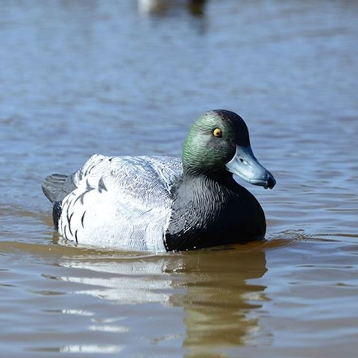 XS Battleship Bluebill Swimmer Duck Decoy