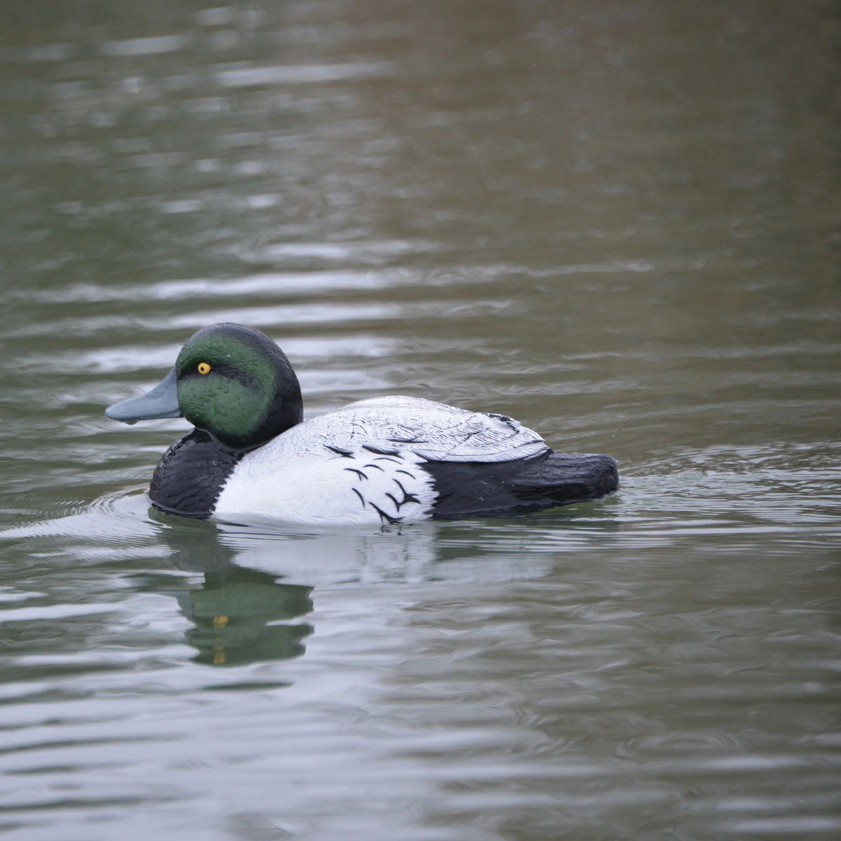XS Battleship Bluebill Swimmer Duck Decoy