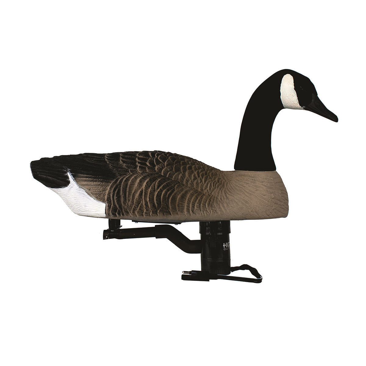 XS Swimmer Canada Goose Decoy