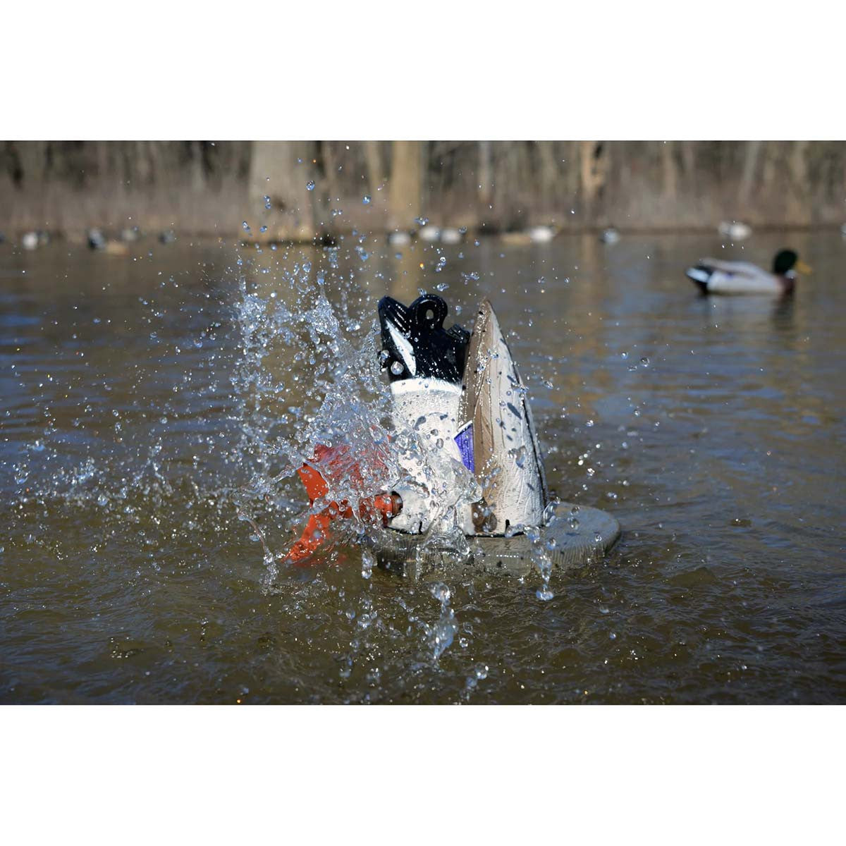 XS Crazy Kicker Mallard Drake Decoy with Timer