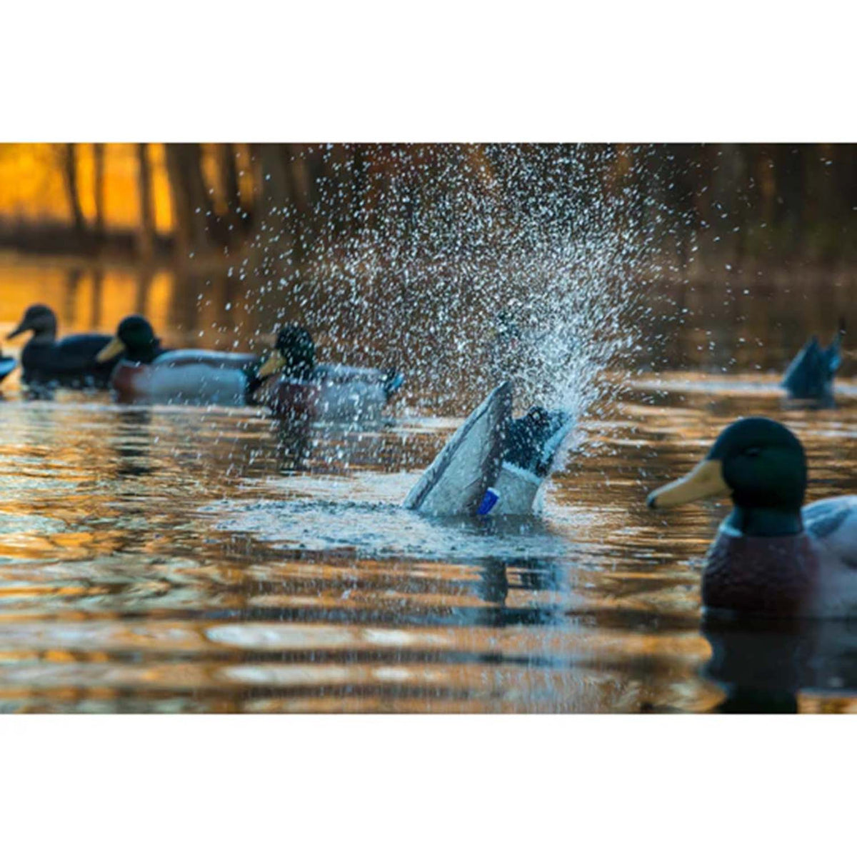 Higdon Outdoors Pulsator Pro Mallard Drake Image