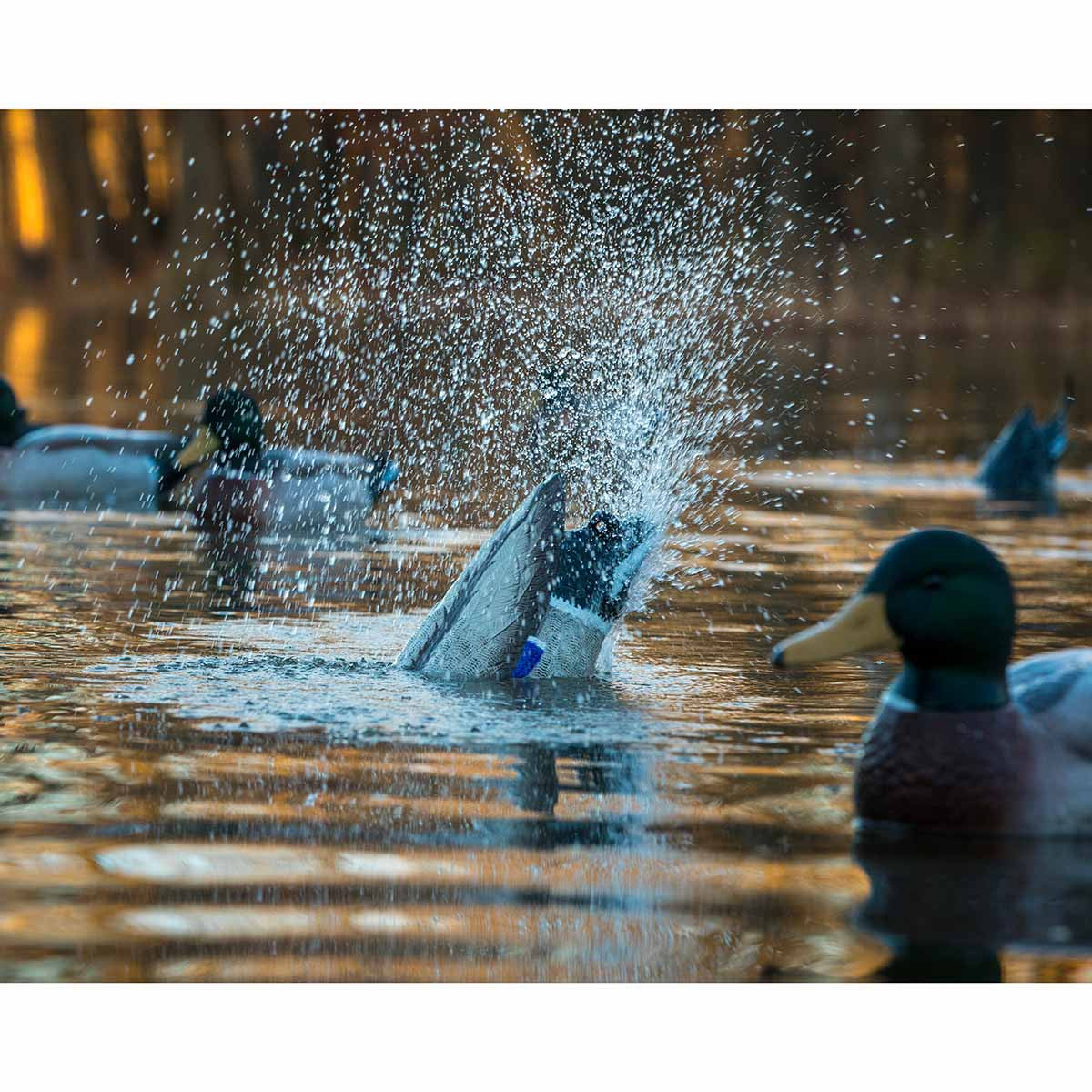 Higdon Outdoors Pulsator PRO Mallard Drake Motion Decoy Spray Image