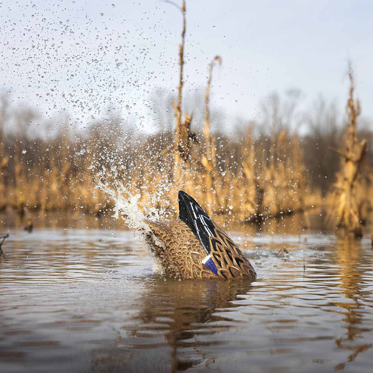 Higdon Outdoors Pulsator PRO Mallard Hen Decoy In-the-Water Image