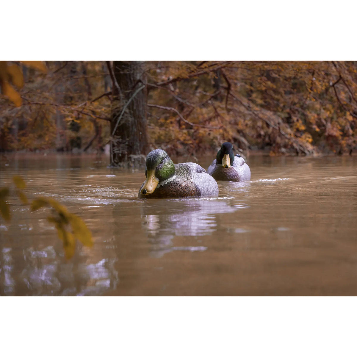 Higdon Outdoors Battleship Swimmer PRO Mallard Drake Guide Pack In the Water Image