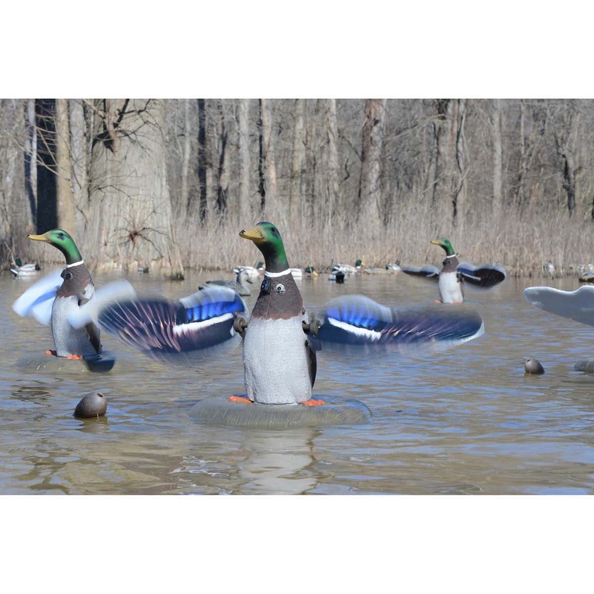 Floating Flasher 2, Plug-N-Hunt with 4 Unit Hard Wire System
