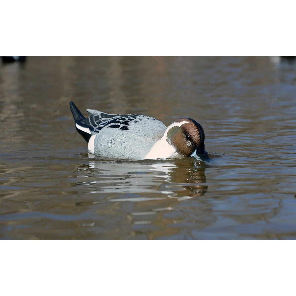 Higdon Outdoors Battleship Swimmer PRO Pintail Duck Decoy In-the-Water Image