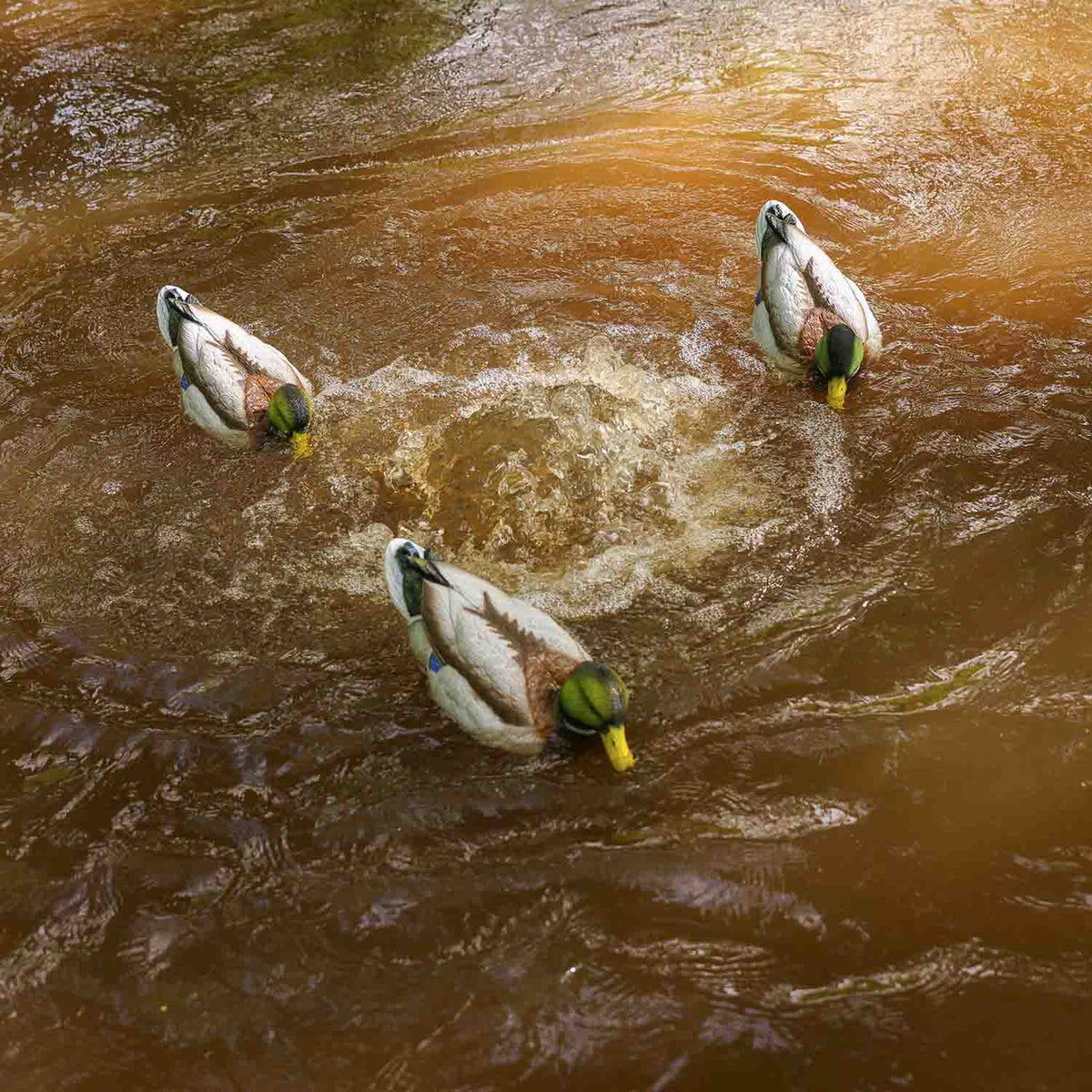 Higdon Outdoors Decoy Motion Machine In-the-Field Water Motion Image