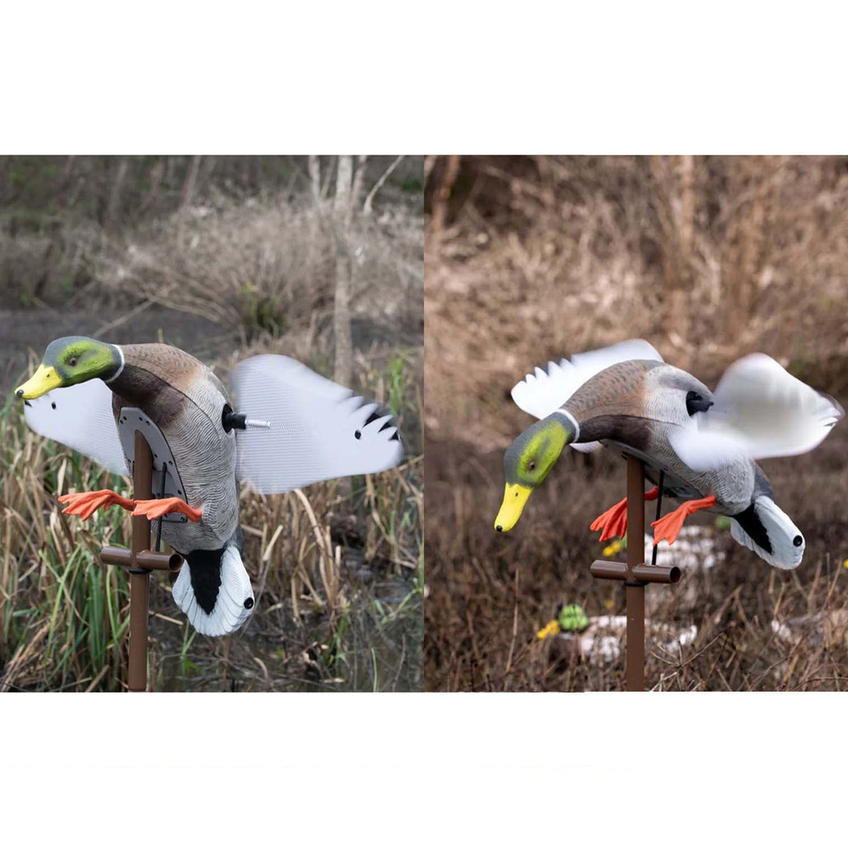 Higdon Outdoors Flasher PRO Mallard Drake Motion Duck Decoy 2 Positions Image