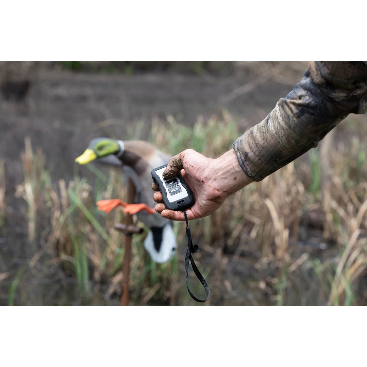 Higdon Outdoors Flasher PRO Mallard Drake with Remote Field Image