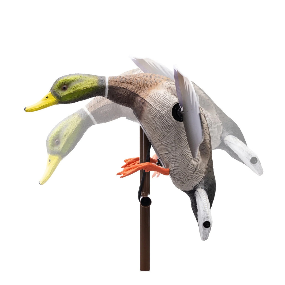 Higdon Outdoors Flasher PRO Mallard Drake Upright Position Image