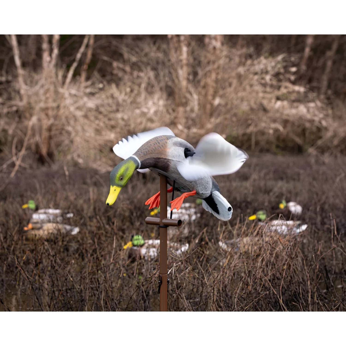 Higdon Outdoors Flasher PRO Mallard Drake Guide Head Down Position Field Image