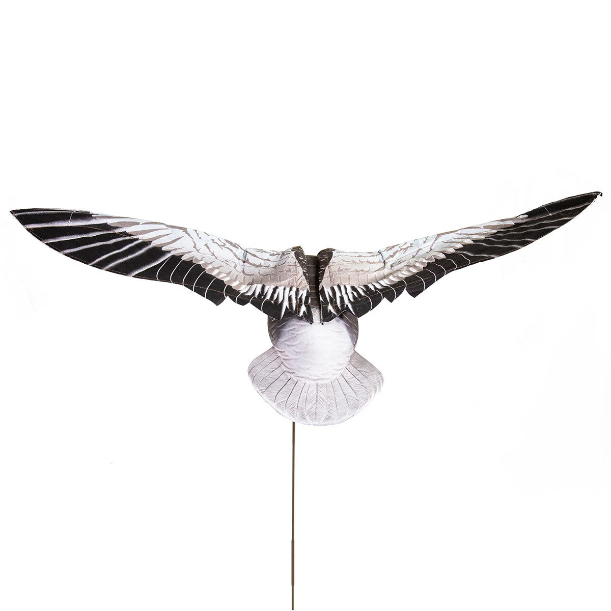 Back view of Higdon's Clone Blue Goose Decoys with both wings spread out.