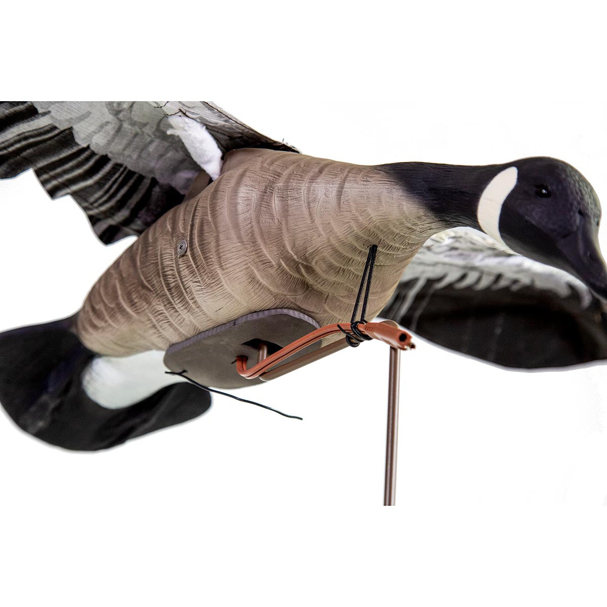 Clone Canada Goose Flapping Wings Decoy