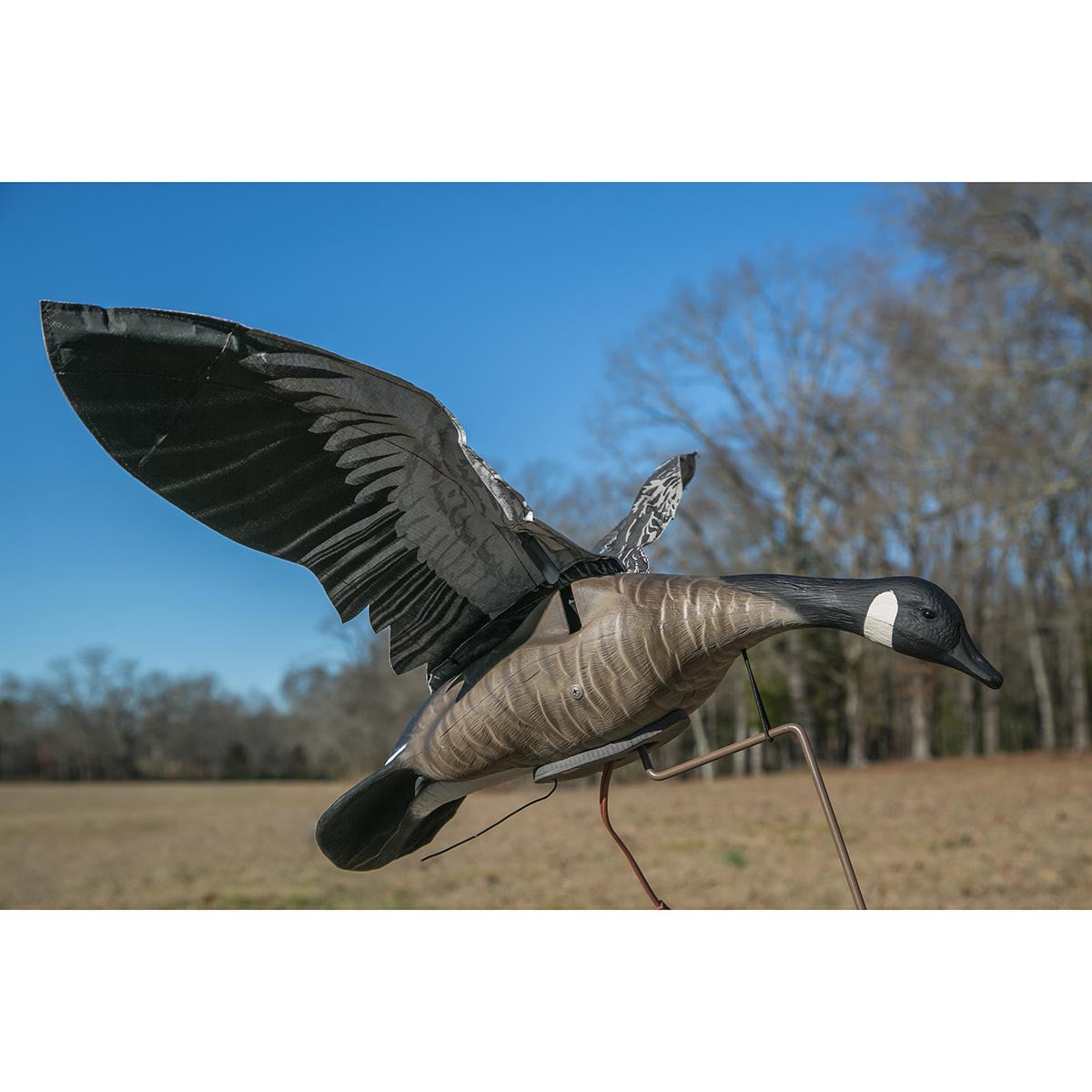 Clone Canada Goose Flapping Wings Decoy