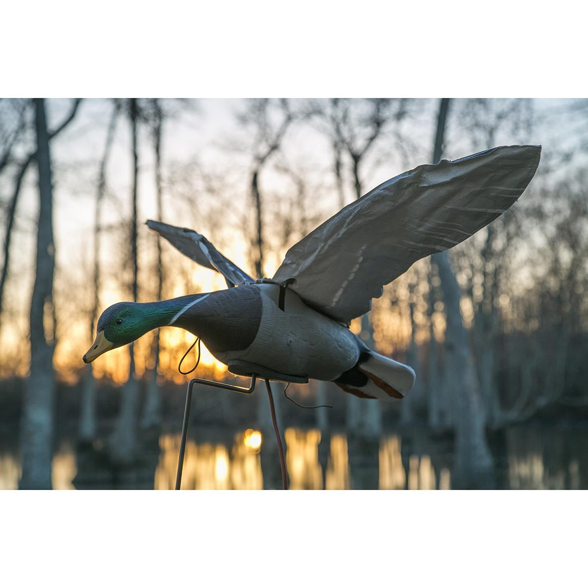 Higdon Clone Drake Mallard Flapping Decoy Product Image