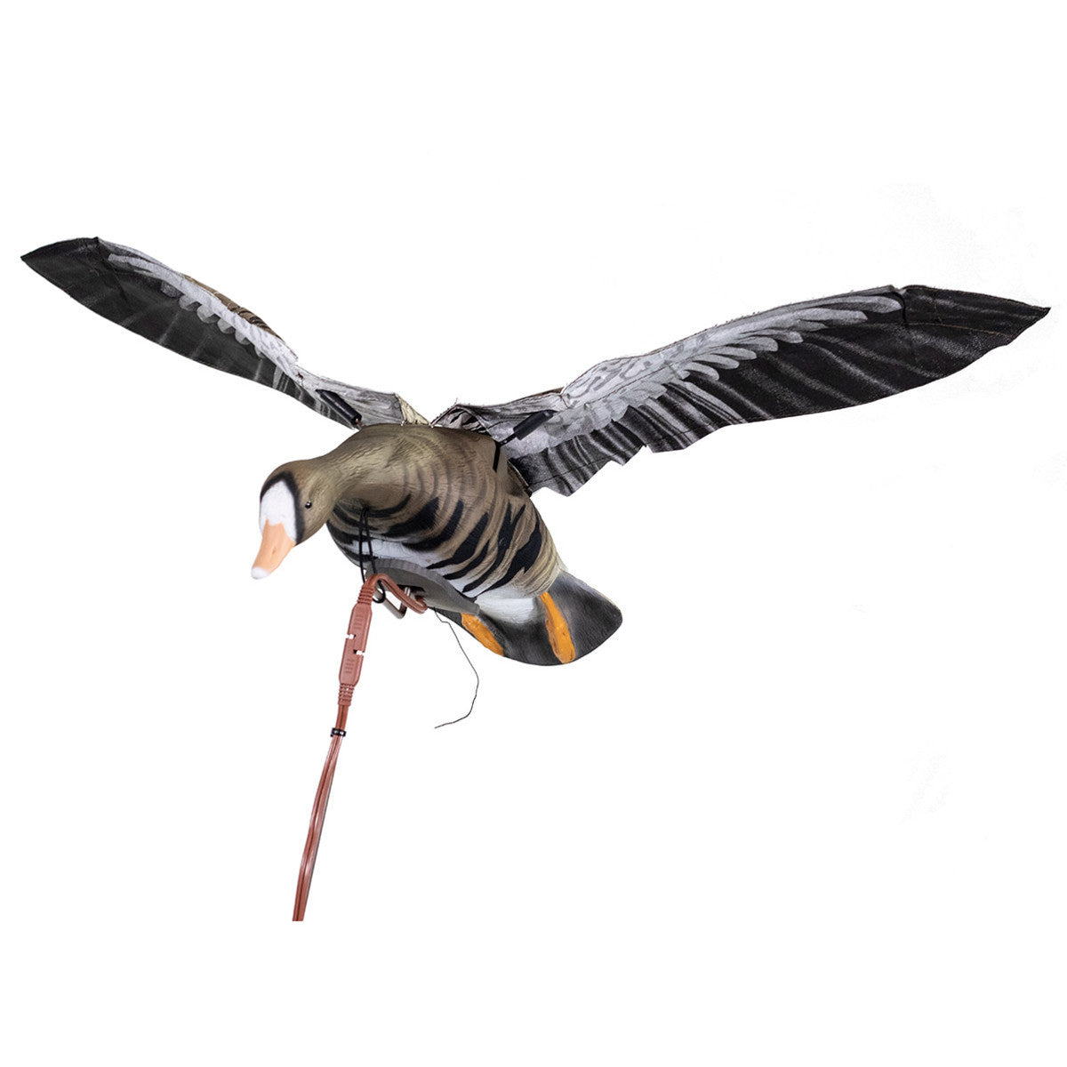 Clone Specklebelly Flapping Motorized Decoy
