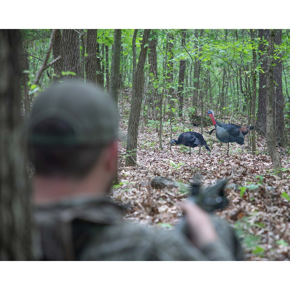 Higdon Outdoors FLEX Upright Tom and Feeding Hen Silhouette Turkey Decoy Combo Field Image
