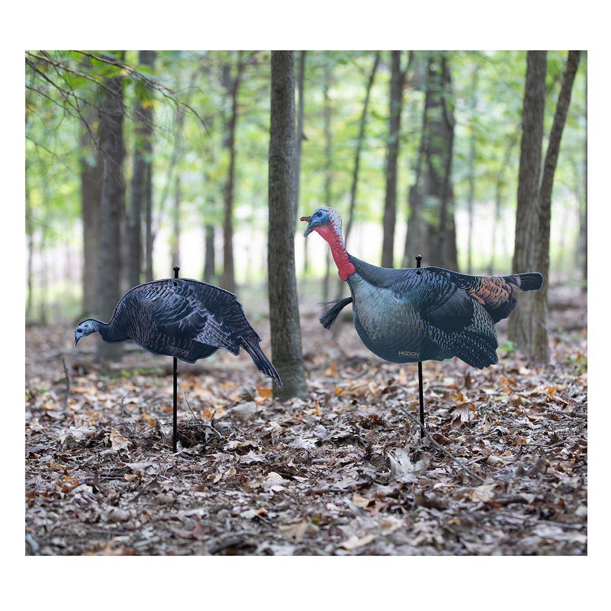 Higdon Outdoors FLEX Upright Tom and Feeding Hen Silhouette Turkey Decoy Combo Field Image