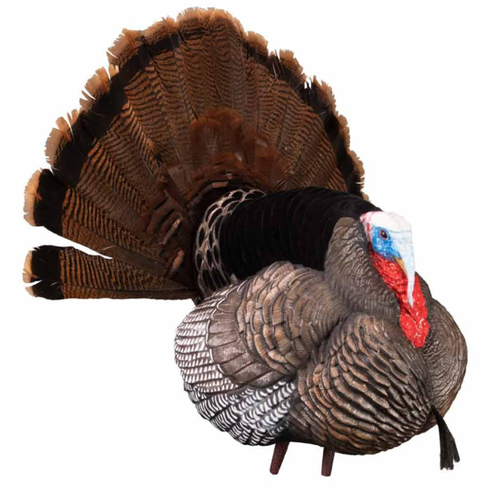 Higdon Apex Strutter Hard Body Turkey Decoy Angled Image