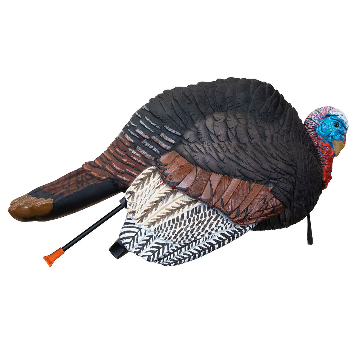 Side Image of the Hard Body Breeding Jake Turkey Decoy.