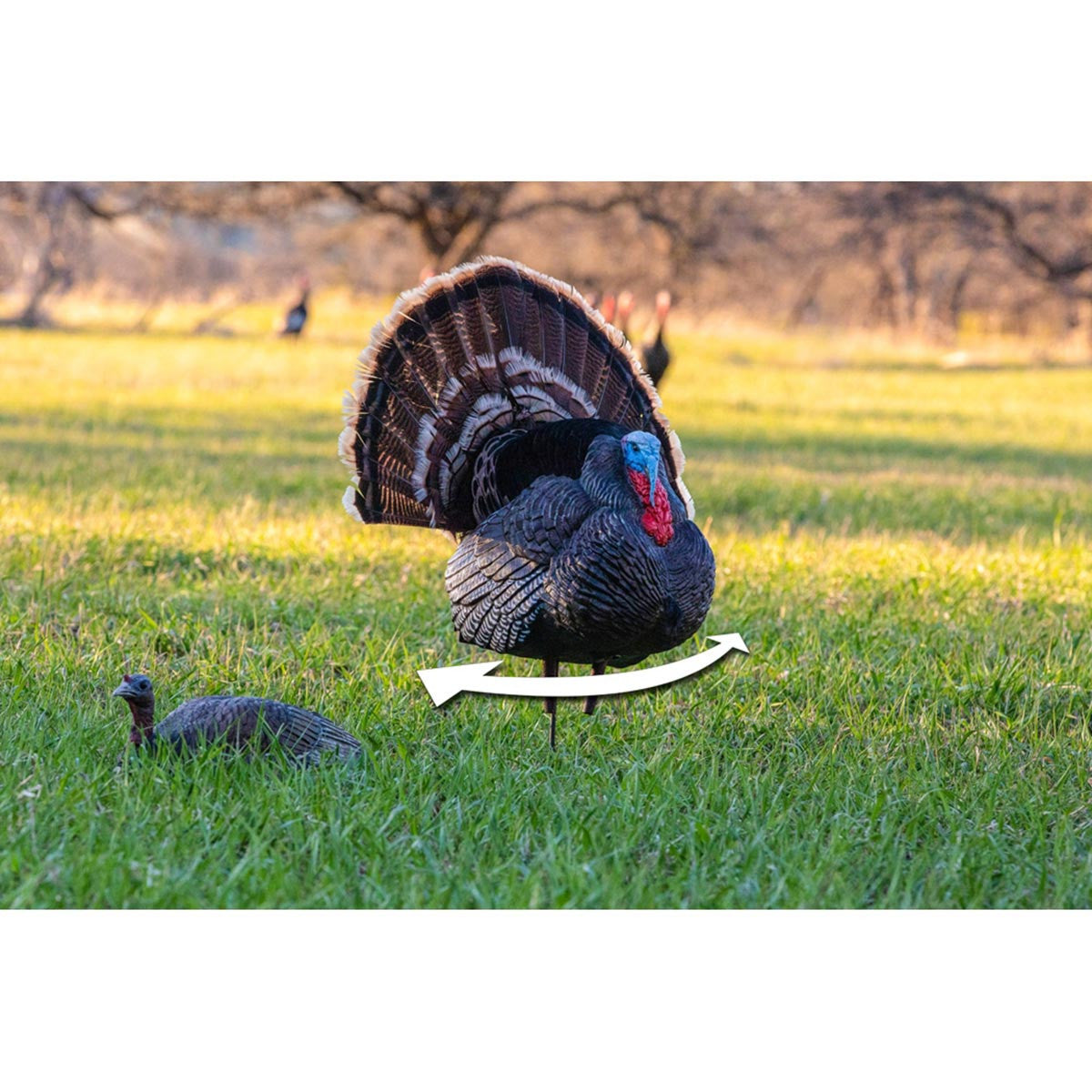 Higdon TruStrutter XS Motion Turkey Decoy With Remote Control In-the-Field Image