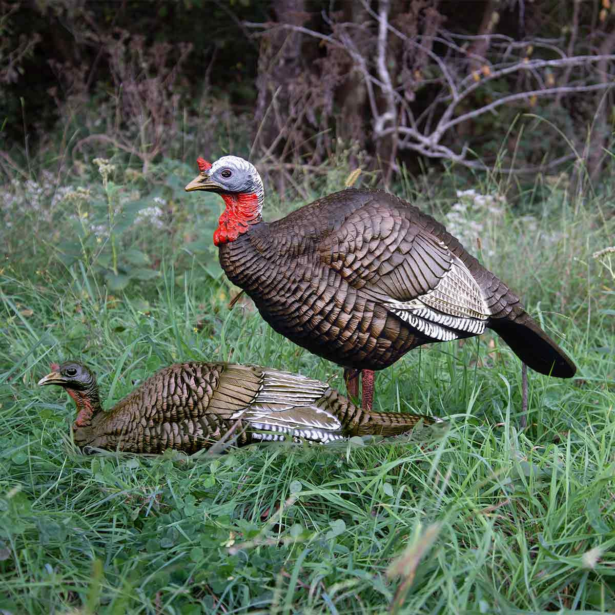 Higdon Jake and Jill Turkey Decoy Combo Field Image