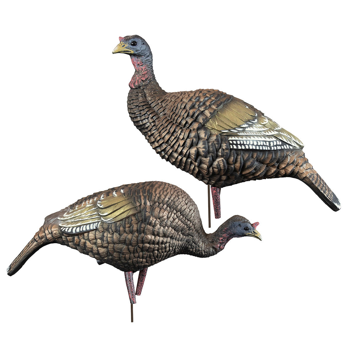 Higdon Outdoors The Girls Hard Body Turkey Decoy Combo Image