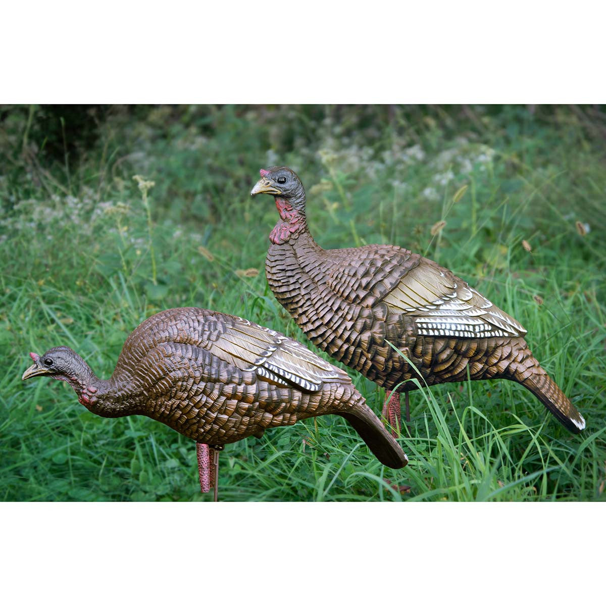 Higdon Outdoors The Girls Hard Body Turkey Decoy Combo Field Image