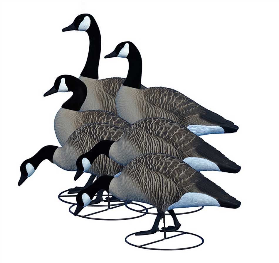 Alpha Magnum Full Body Variety Canada Goose, 6 Pack