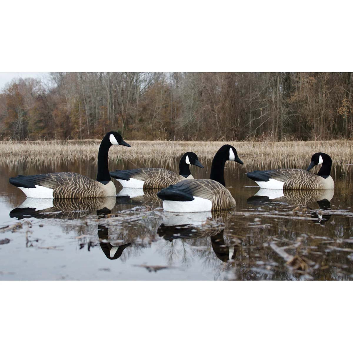 Higdon Alpha Magnum Canada Goose Floater Foam Filled Decoy Lifestyle Image