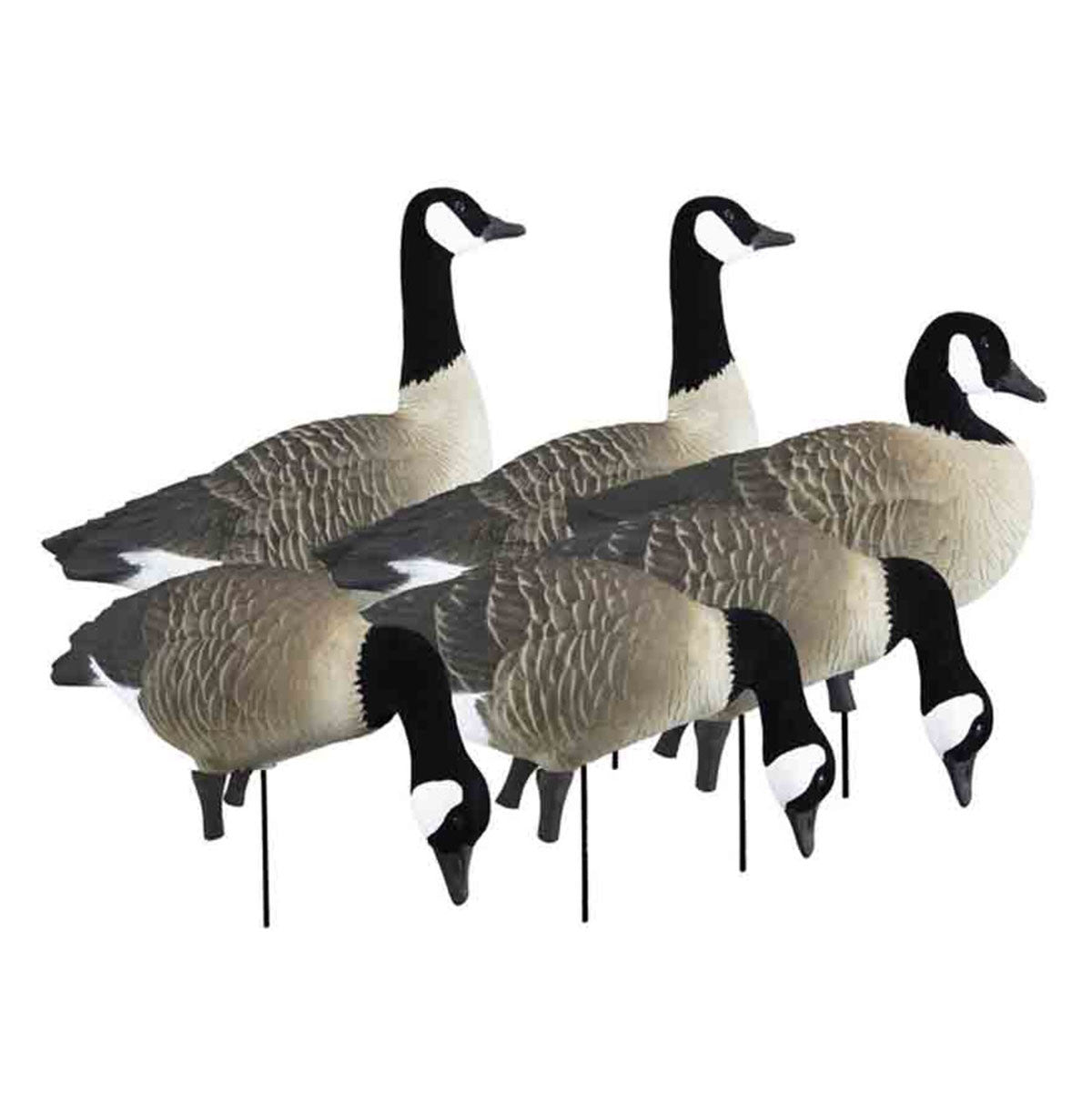 Higdon Apex Full Size Full Body Canada Goose Decoys Image