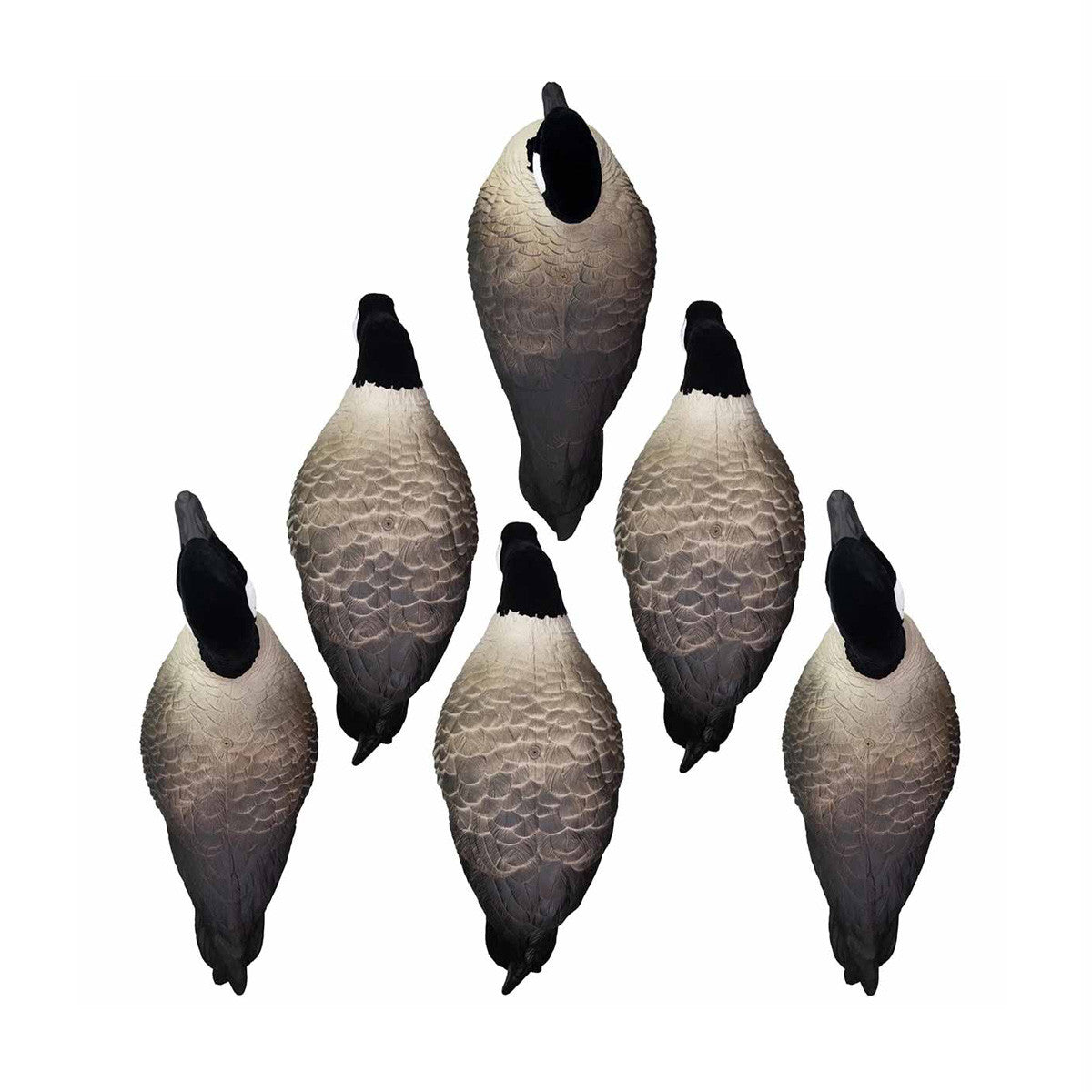Higdon Apex Full Size Full Body Canada Goose Decoys Image