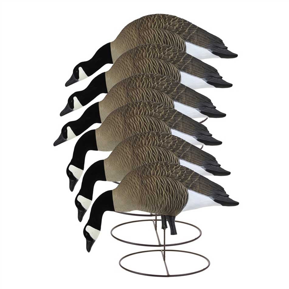 Full-Size Full-Body TruFeeder Canada Goose, 6 Pack