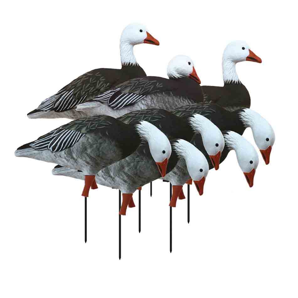 Apex Full-Size Full-Body Blue Goose Decoys, Variety 8 Pack